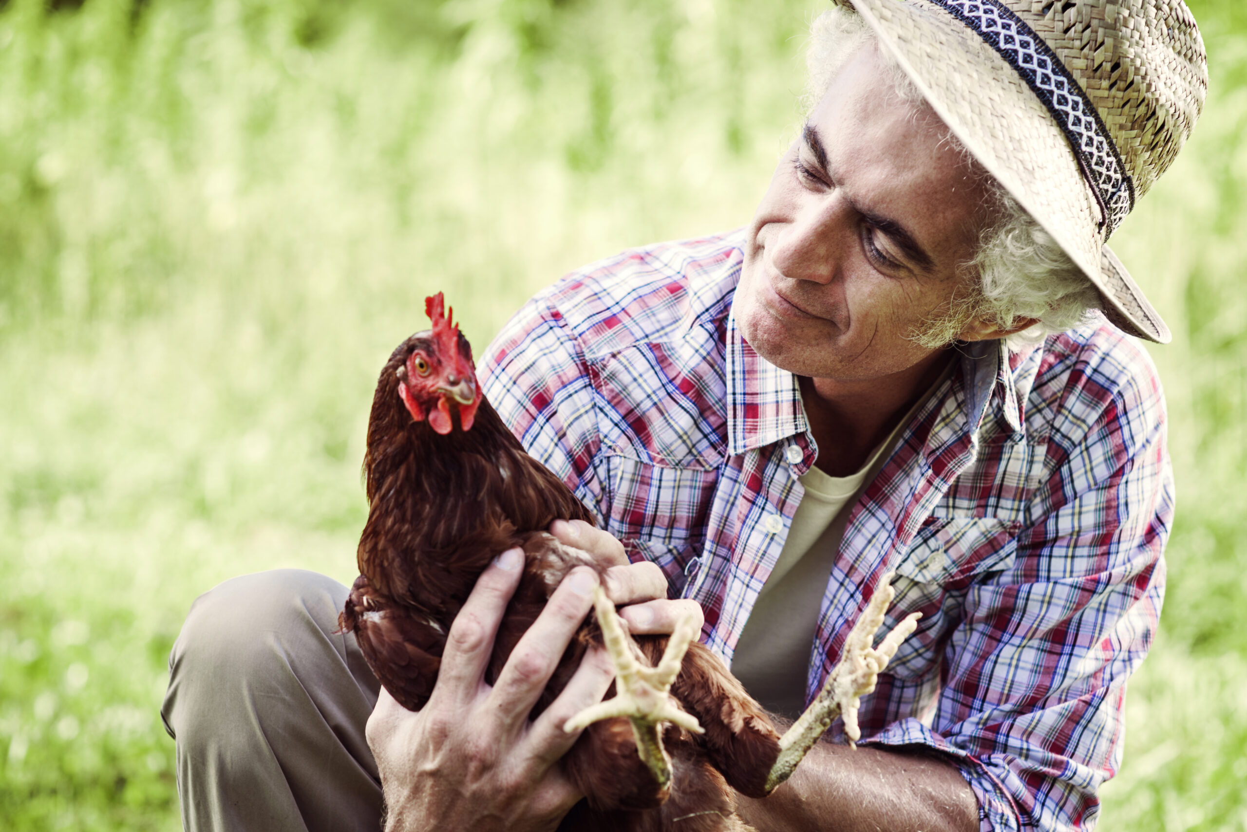 Start a Mobile Chicken Slaughterhouse Business Mother Earth News